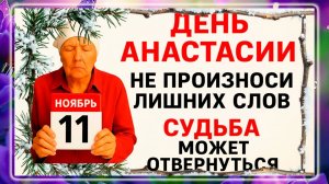 11 ноября - День Анастасии. Что нельзя делать 11 ноября? Народные Традиции и Приметы Дня.