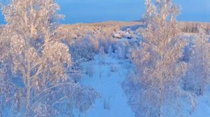 Melogram - Gossamer.mp4