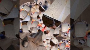 1000039781.mp4 (Собака смотрит на монтаж электропроводки ( по аварийным ситуациям ) в доме А-фрейм)