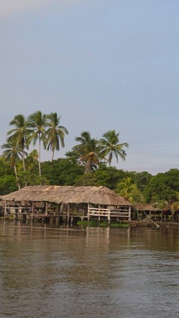 Отправляемся на закат на реке Ориноко в Венесуэле