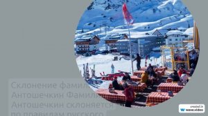 Исследуем происхождение и склонение фамилии Антошечкин: история и значение