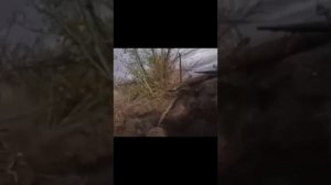 О наших парнях на СВО/ Песня Помоги солдату/ Песня из го питания о Валентина и Валентине до слез .