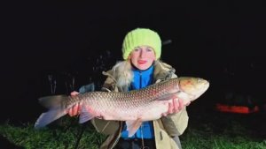 Трофейные амуры , рыбалка осенью в октябре 2025 Орловская область.