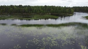 ТРЕК-ЛЮДИ ЗАПЛАТКИ(Zlatentsia) из фильма КАРЕЛИЯ. Река ОНДА.2025год.Конец июля-начало августа. (HD)