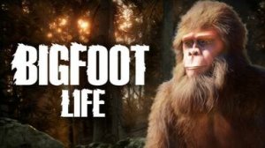 Bigfoot Life ► Тест игры