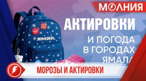 В округе запущен телеграм-бот «Актировки Ямал»