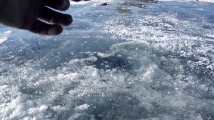 Озеро-Хубсугул рыбалка