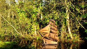 Река, солнце, трава...