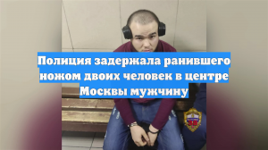Полиция задержала ранившего ножом двоих человек в центре Москвы мужчину