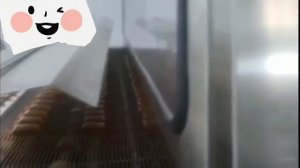 Линия для производства щербета и грильяжа до 500кгч - 413 кп | Сытный Дом