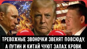 Тревожные звоночки звенят ПОВСЮДУ, а Путин и Китай чуют запах крови | Клейтон Моррис.