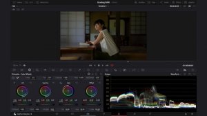 69. How to color grade RAW in DaVinci Resolve 18 (Color managed)