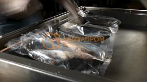 Вакуумный упаковщик DZQ-1100/2L с газом