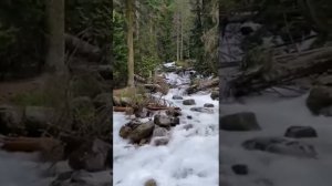 Поговорим о жизни пацаны...