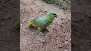 С кем поведешься