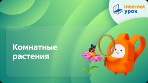 Окружающий мир 2 класс. Комнатные растения