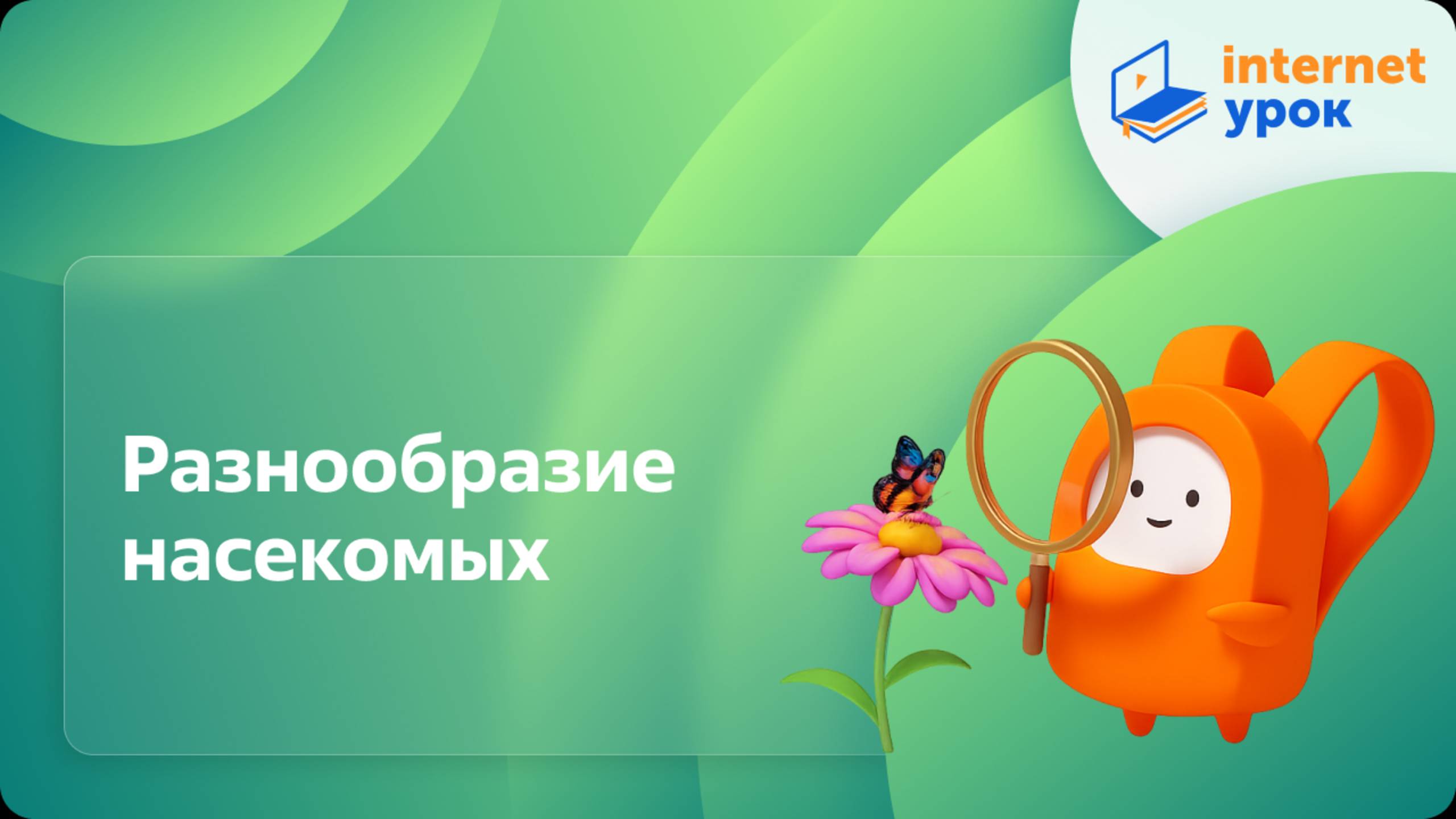 Окружающий мир 1 класс. Насекомые. Разнообразие насекомых. Удивительные насекомые смотреть онлайн