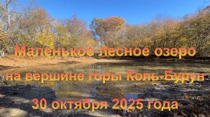 Маленькое лесное озеро на вершине горы Коль-Бурун (Крым, село Высокое). 30 октября 2025 года.