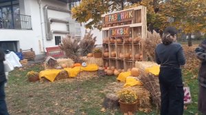 Праздник тыквы "ОРАНЖЕВОЕ НАСТРОЕНИЕ"от  Института развития города  "Platforma Nalchik", 8- 9.11.25