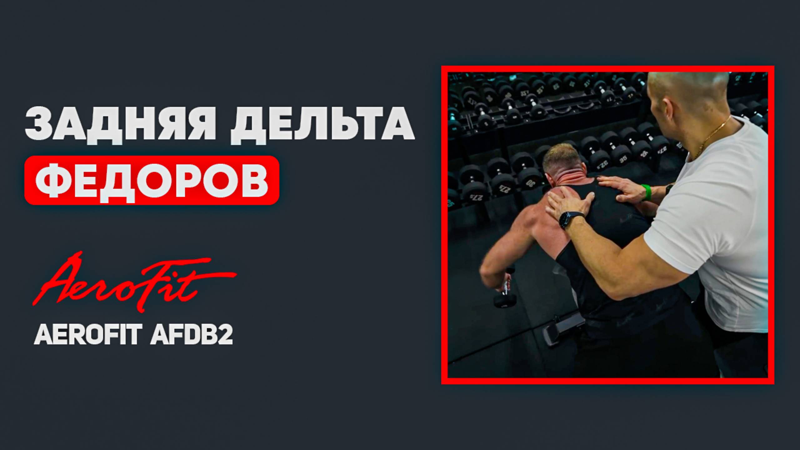 ФЕДОРОВ: Задние дельты. Изоляция. Aerofit AFDB2