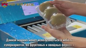 Упаковочная машина для киви WIN WIN PACK | 11 упаковок в минуту