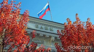 ЦБ выступает против запрета микрозаймов. Что нужно знать