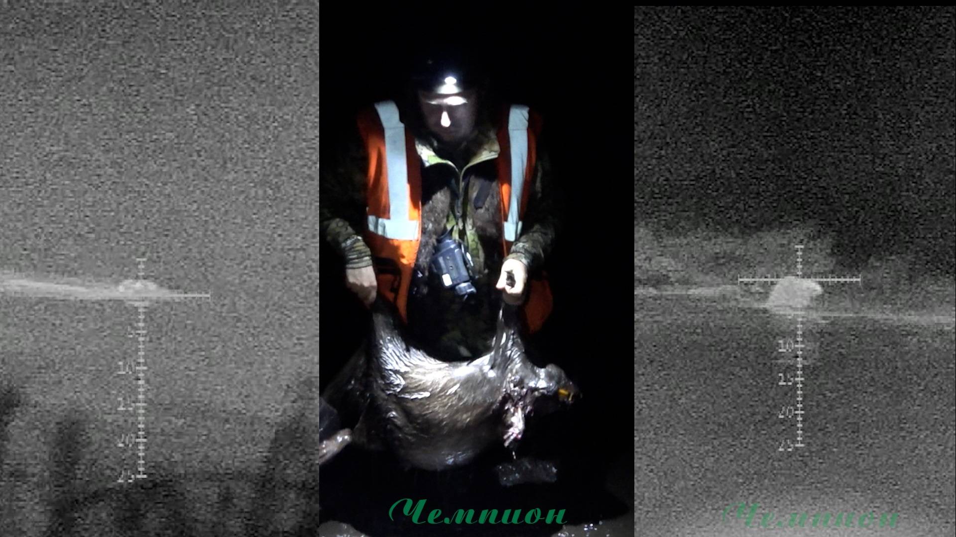 Охота на бобра  #43 \ Такого вы ещё точно не видели