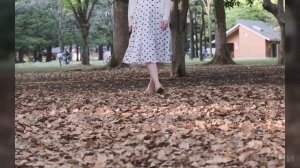 Осень, осень - красивый русский шансон, октябрь 2025 @Музыкадлядуши-1