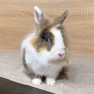 делайте. это обязательно. 🙏🙏