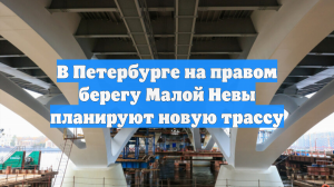 В Петербурге на правом берегу Малой Невы планируют новую трассу