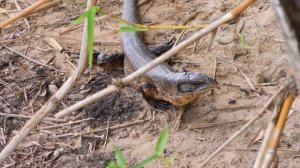 Арсен о бабушках