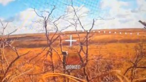 3-я штурмовая 291-го полка сбивает гнезда ВСУ на Запорожье