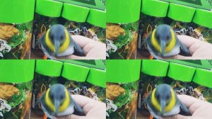 МУЛЬТИКИ ДЛЯ ДЕТЕЙ,  МУЛЬТИКИ ДЛЯ ДЕТИШЕК