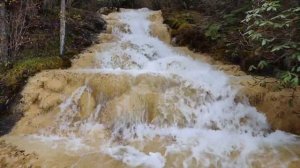 Сказка Жёлтого дракона - Заповедник Хуанлун, Китай