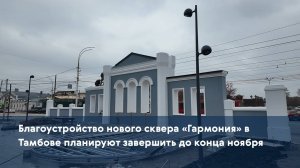 Благоустройство нового сквера «Гармония» в Тамбове планируют завершить до конца ноября