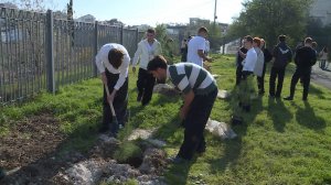 В Севастопольском многопрофильном колледже к юбилею высадили 80 деревьев