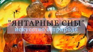 "Янтарные сны искусство в природе" Выставка янтаря в Казани