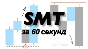 SMT ЗА 60 СЕКУНД