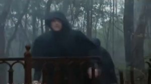 Про Питер и питерцев с ехидцей и добрым стёбом 🙃