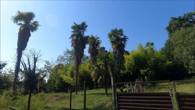 ПАНСИОНАТ ЗОЛОТОЙ БЕРЕГ (ОКТЯБРЬ 2025)