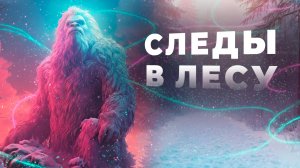 🐾 БИГФУТ - миф, мутант или древний человек? Тайна следов великана