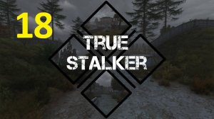 Прохождение S.T.A.L.K.E.R True Stalker. Часть 18