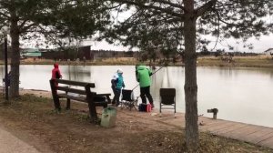 поимка форели на спиннинг