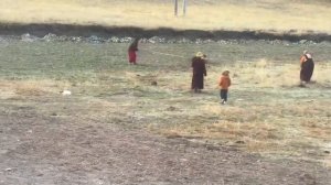 Опасные животные