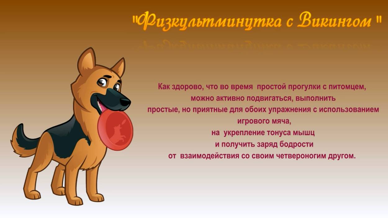 Физкультминутка. Мой любимый тренажер)))