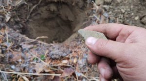 В поиске золотого металла