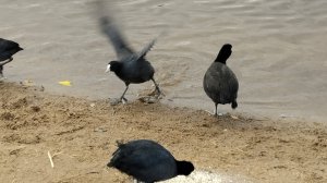 Суздалбские озера _ Озерки