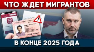 АМИНА И ПОДОРОЖАНИЕ ПАТЕНТА - ЧТО ЖДЕТ МИГРАНТОВ В КОНЦЕ 2025 ГОДА | Обращение Вадима Коженова