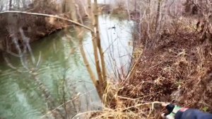 Охота на осеннюю куропатку с собаками Эпаньол Бретон