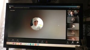 Запрос посмотреть Серого котика.